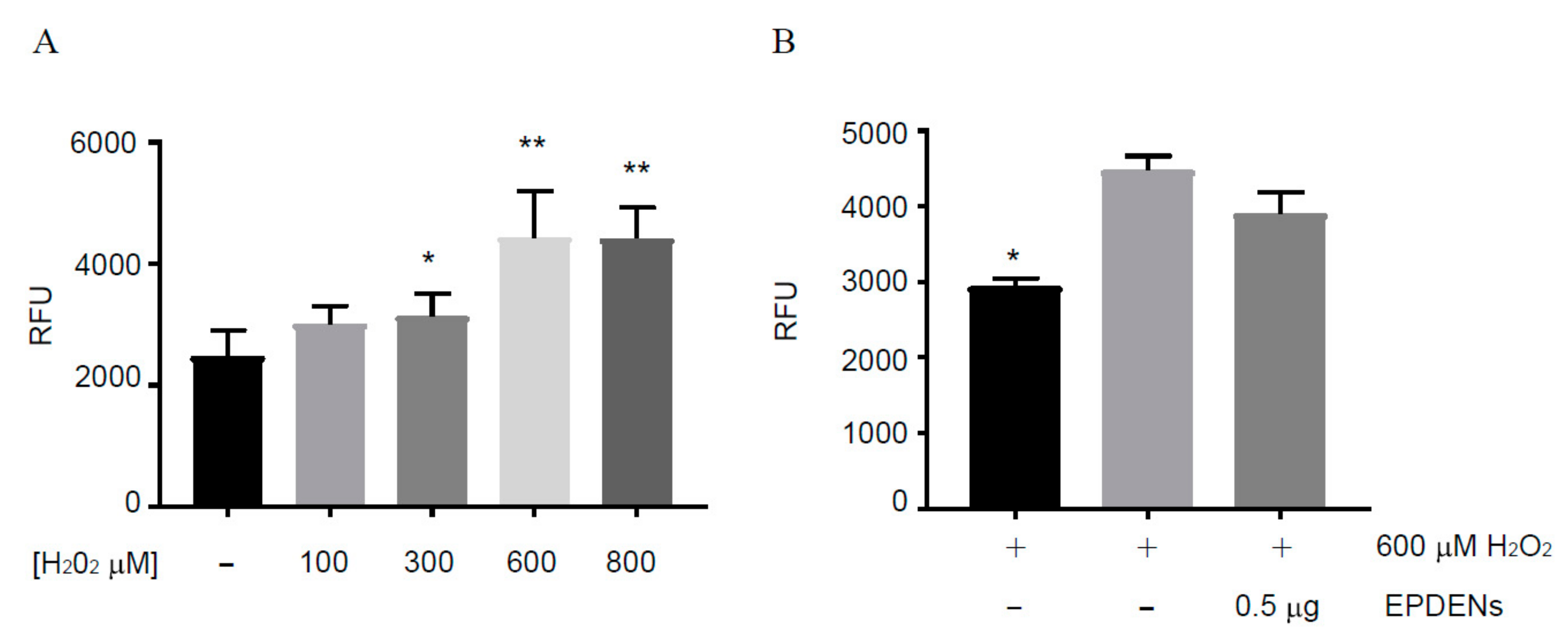 Bar charts showing increased ROS production in ADMSCs after H₂O₂ exposure and partial reduction by Fragaria-derived EPDENs at 0.5 µg/mL.